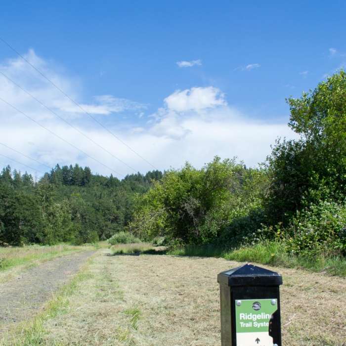 Near Ridgeline Trail System: Wild Iris Ridge + Loop Trail