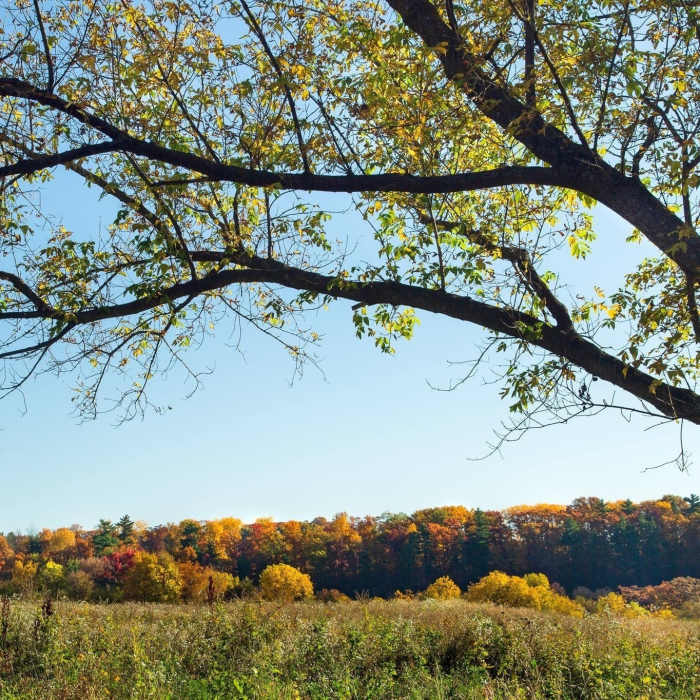 Near Root River Park Trail