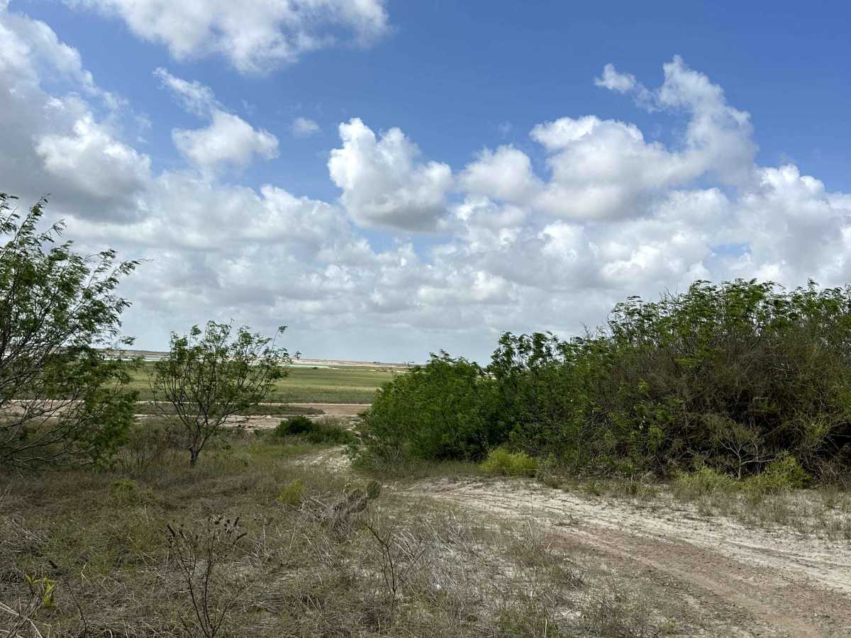 Watchtower photo 5