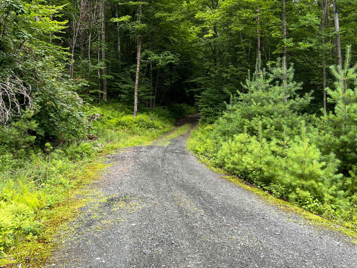 Turnpike Road trail photo