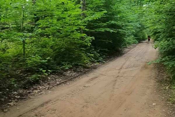 Booth Spur A (FSR 225A)