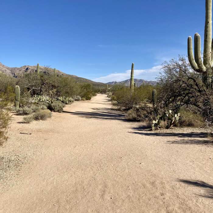 Near Blackett's Ridge