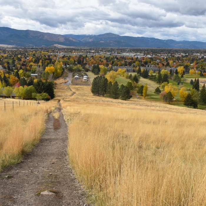 Near Pengelly Trail to Sentinel Summit