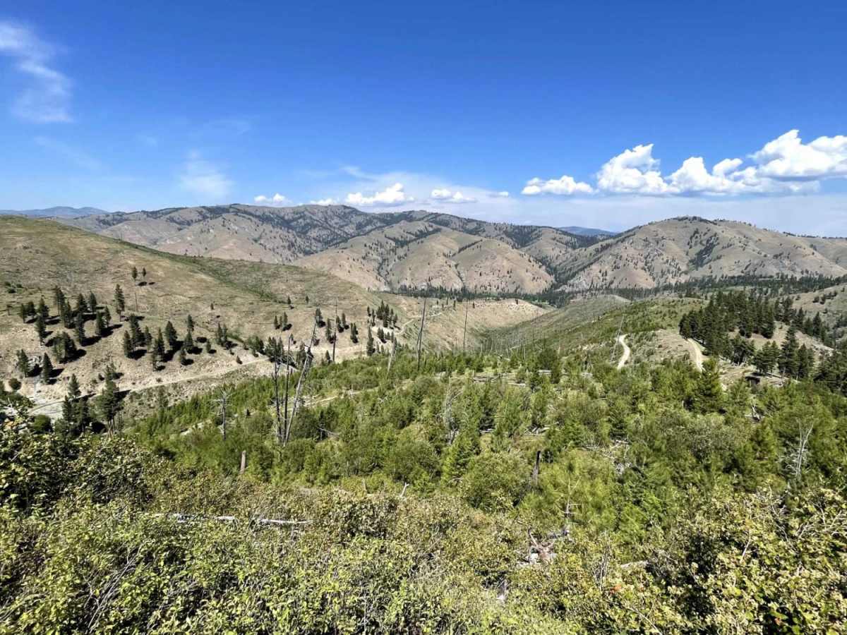 Lairds Epic View Draw trail photo