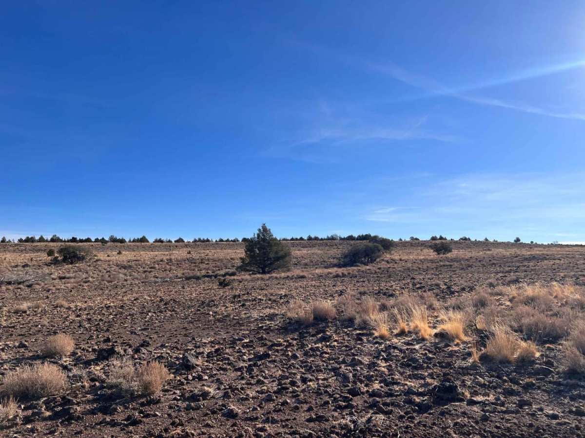 Gravel Pit Camp Road photo 4