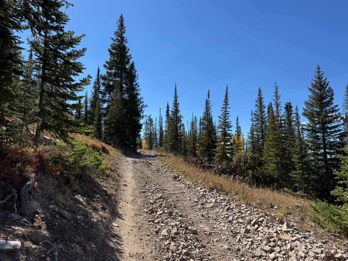 West Hahns Peak Road photo 6