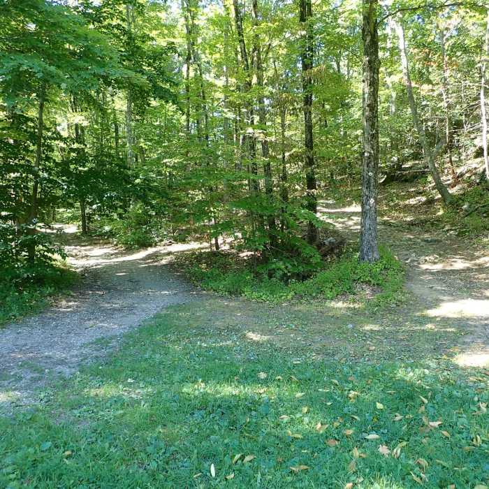 Near Wawayanda Lake Loop