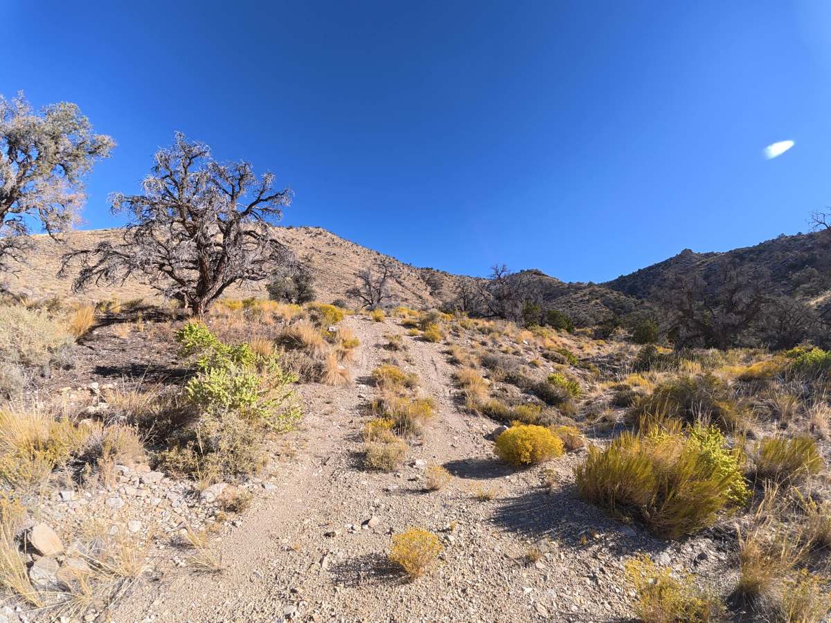 Cowhorn Hill photo 6