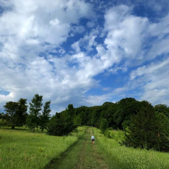 On the trail southwest of Lundsten Lake. Near Carver Park (West) Loop