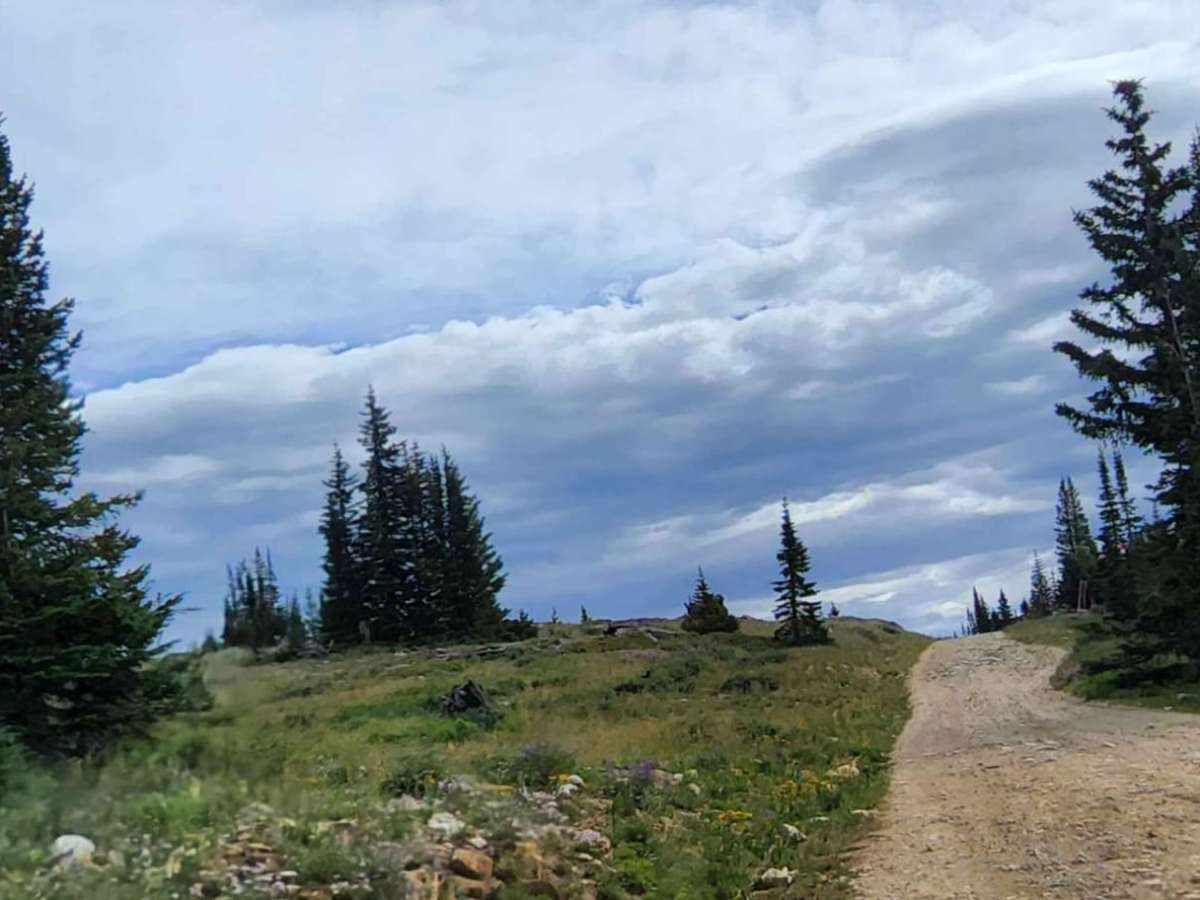 Towner Lake photo 6