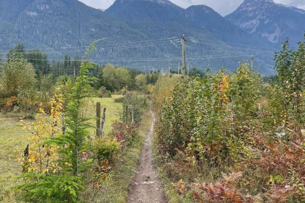 Fence Line