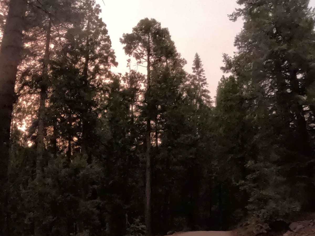 Soquel Meadow - FS 6S040 photo 4