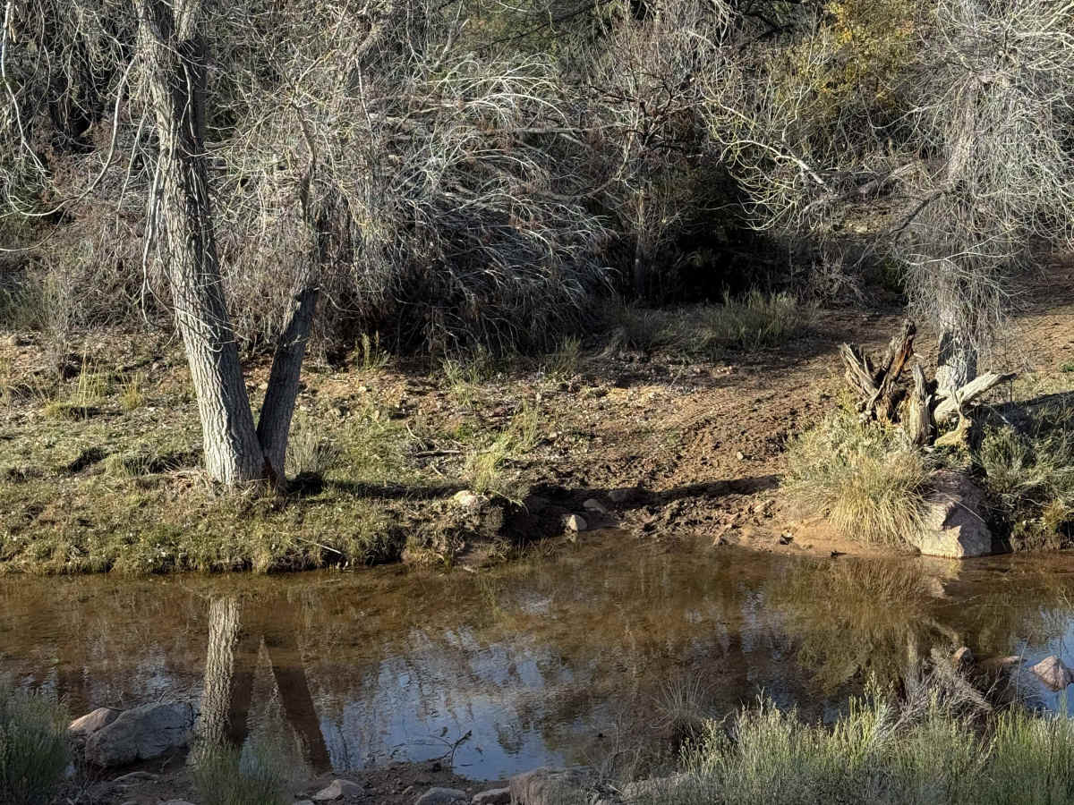 Adra Loop  photo 4