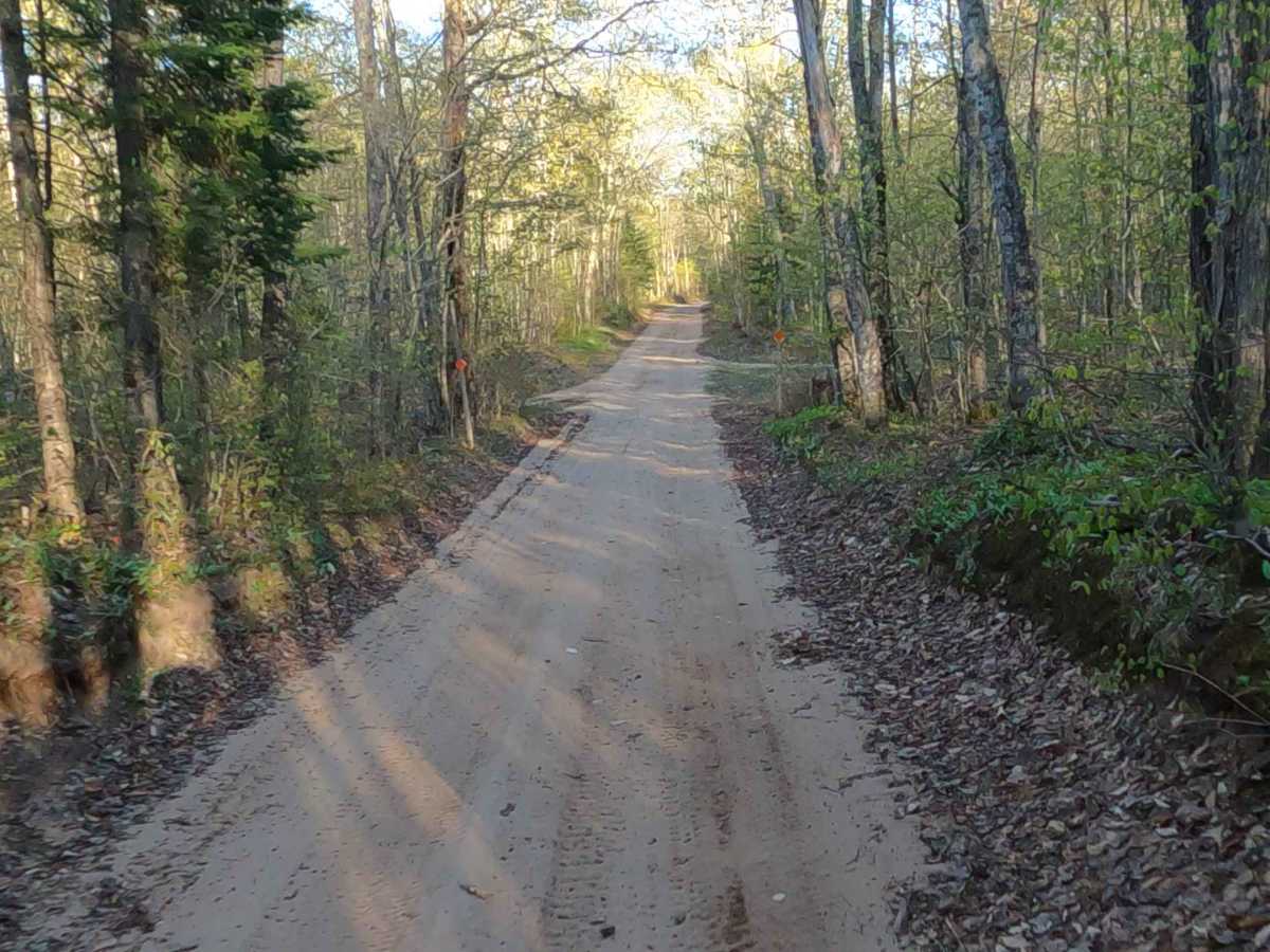 North Fox Hound Road photo 6