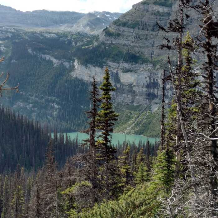 Near Viewpoint Trail