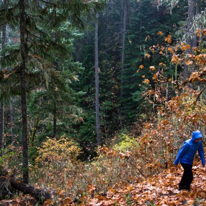 Near Deception Butte Hike
