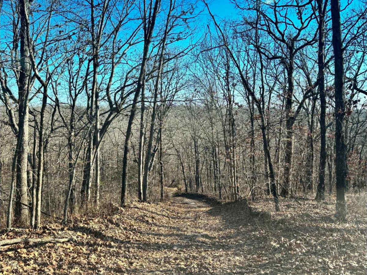 Galveston Road  trail photo