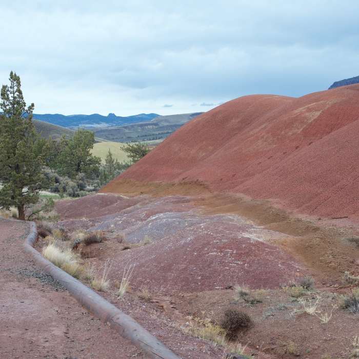 Near Painted Cove Trail