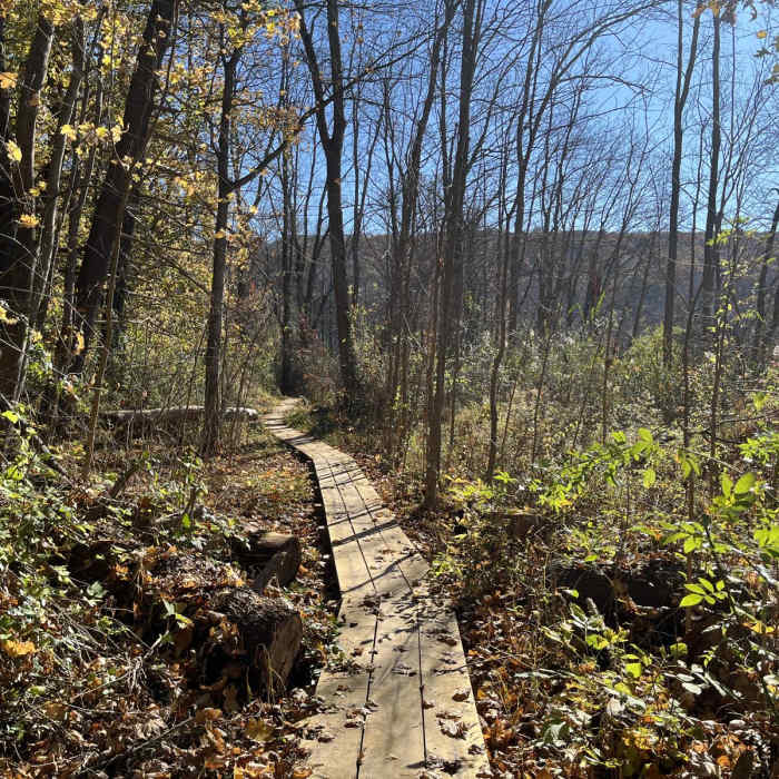 Near Deer Park Loop Near Deer Park Loop