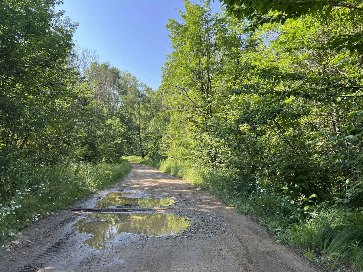 Deep Hole Lake Road photo 3