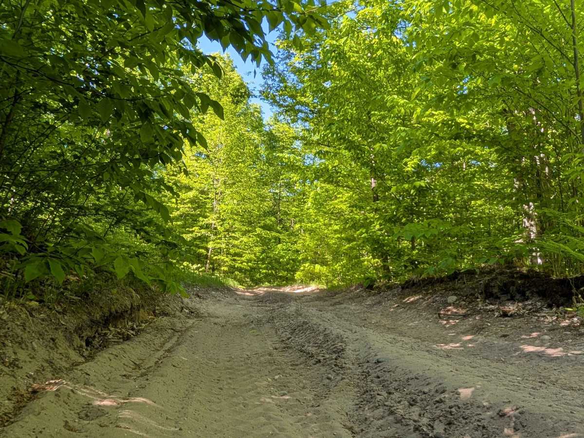 Mercum Road photo 6