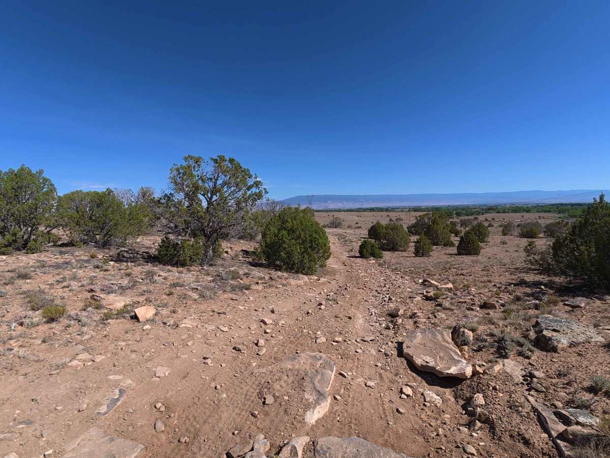 Burch Loop trail photo