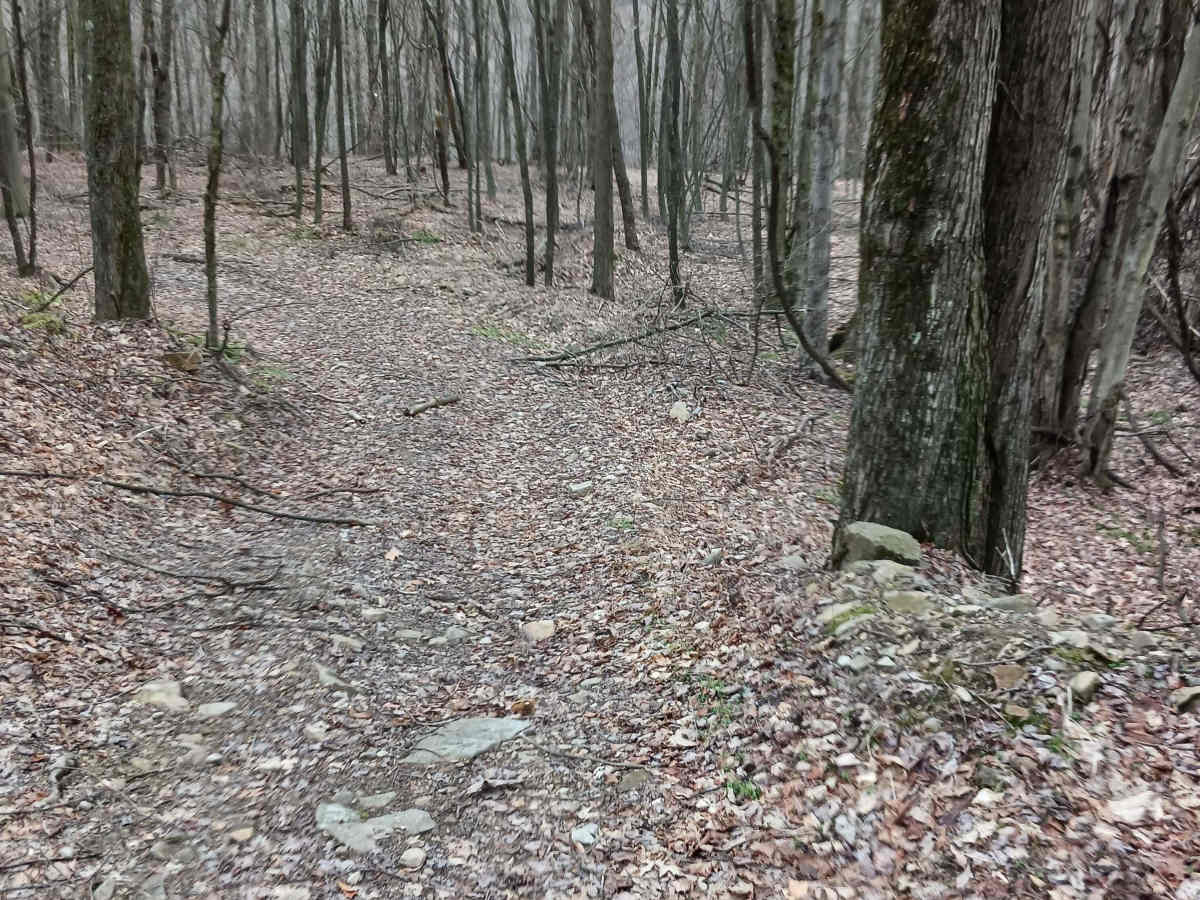 Trail 15C - Rock Run Recreation Area trail photo