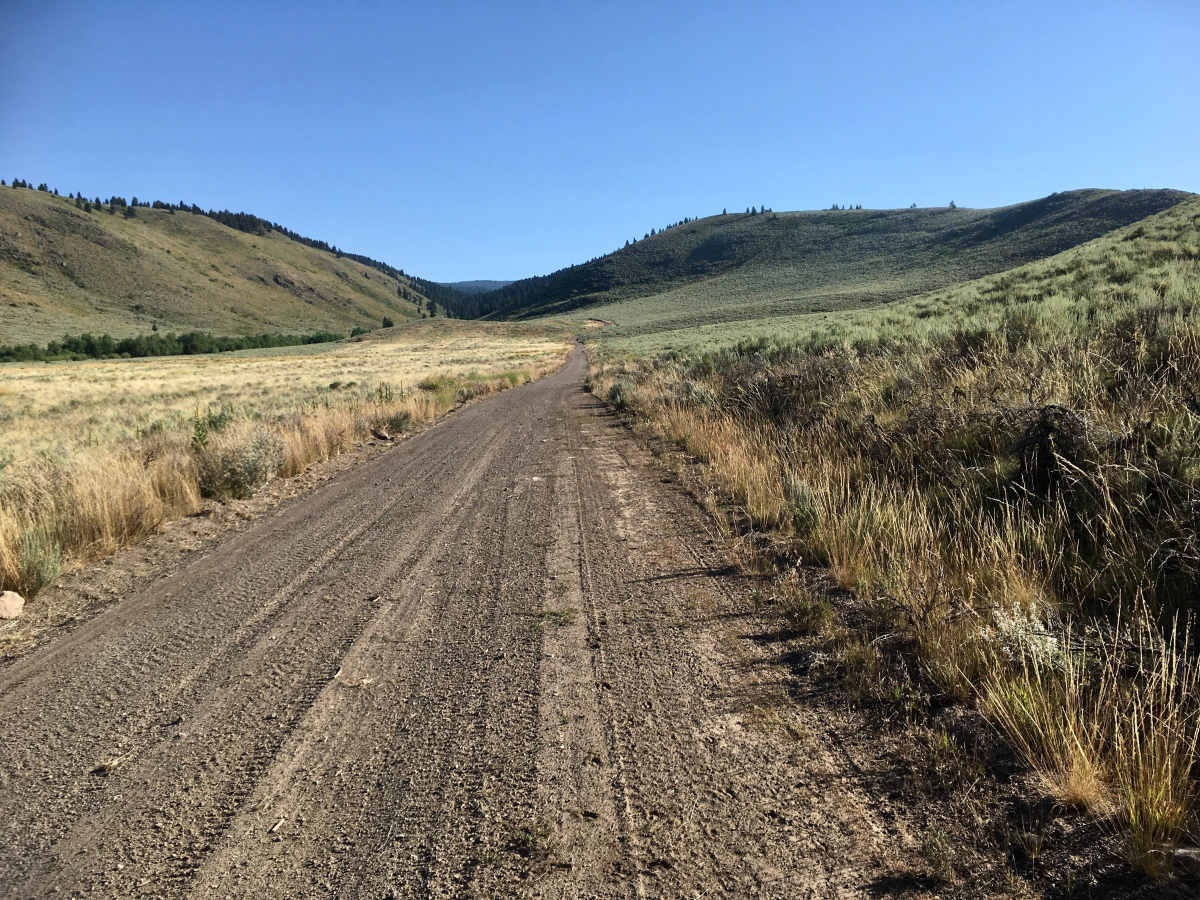 Corral Creek Road - FS 177 photo 3