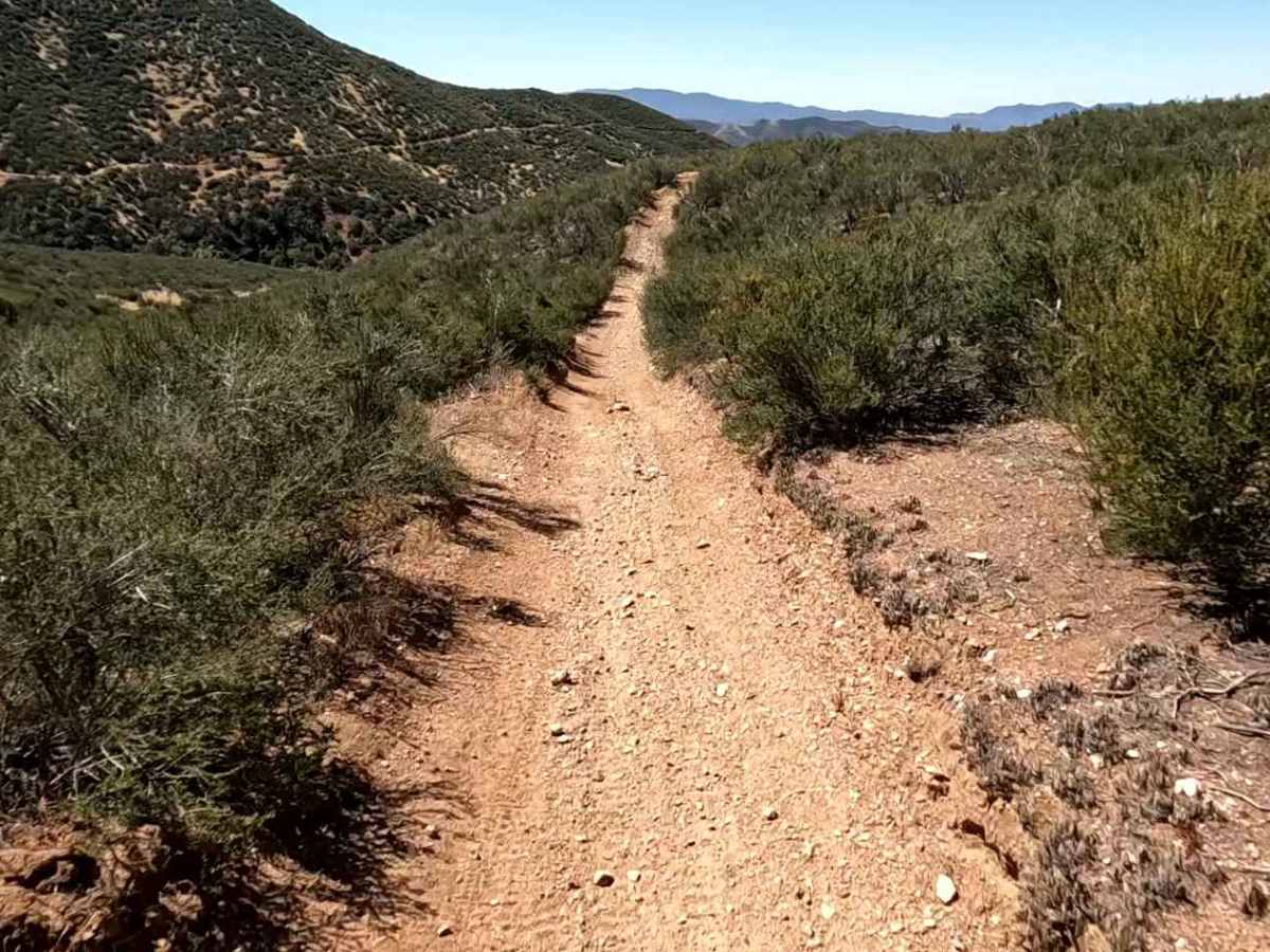Knob OHV Trail photo 3
