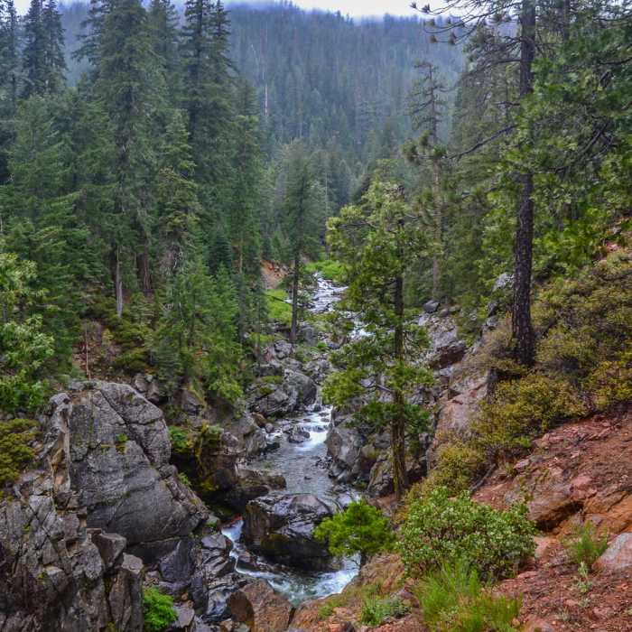 Near Swift Creek Trail