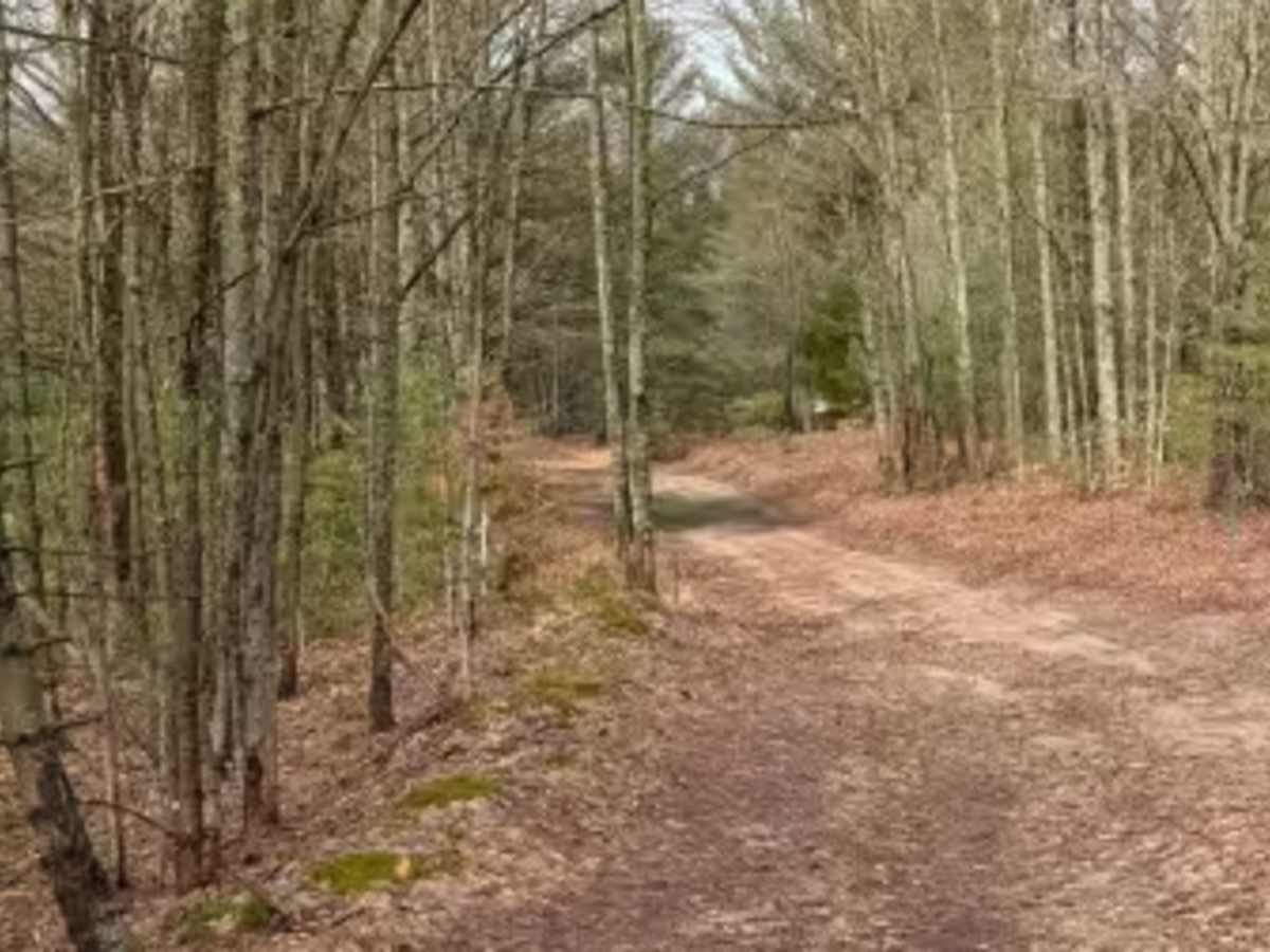 Hardwood Lane trail photo