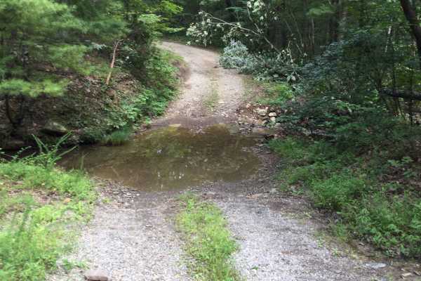 Wildlife Road - FS 224