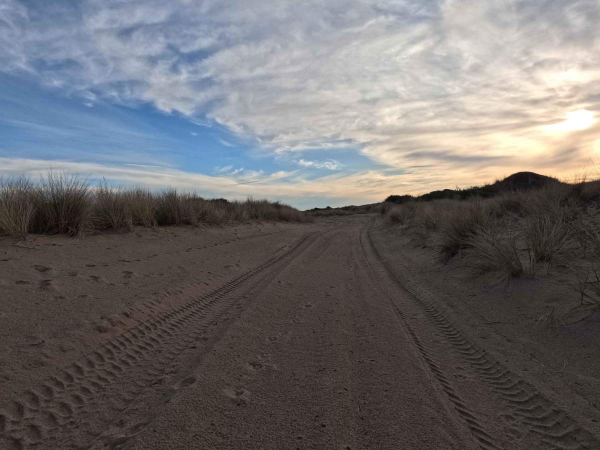 Coast Guard OHV South Trail - 1343 photo 5