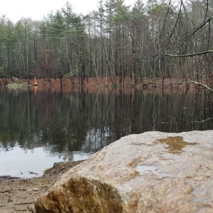 More trail Near Mt. Misery Loop