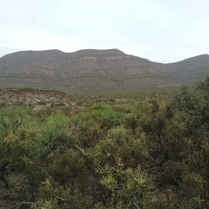 View of the Sacramento Mountains Near Indian Wells Canyon Trail