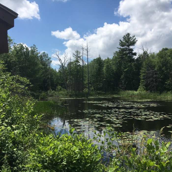 Oak Ridge Trail | Hiking Trail Maps, Difficulty, Trail Status | onX