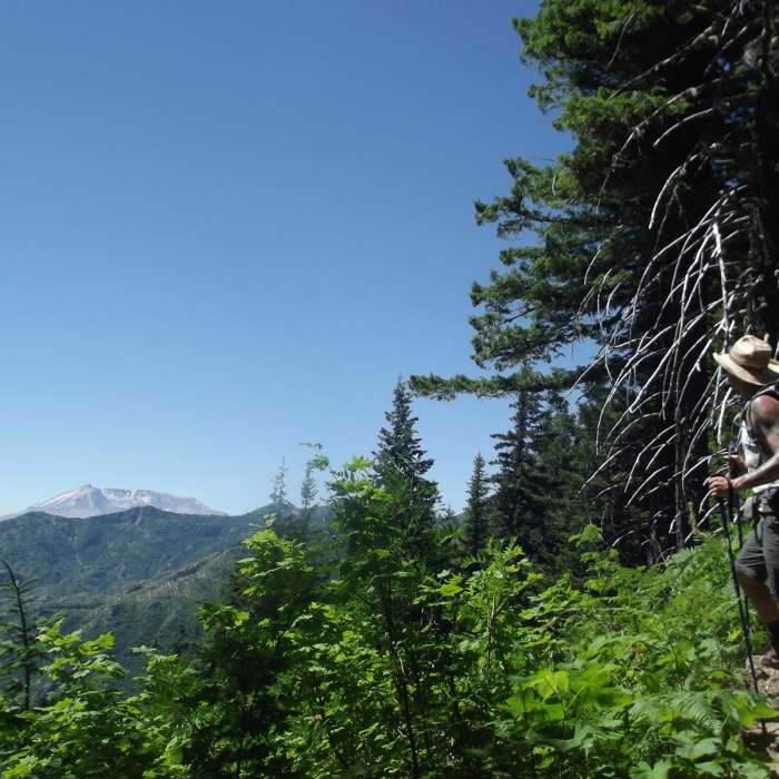 Near Goat Mountain + Green River Loop Near Goat Mountain + Green River Loop