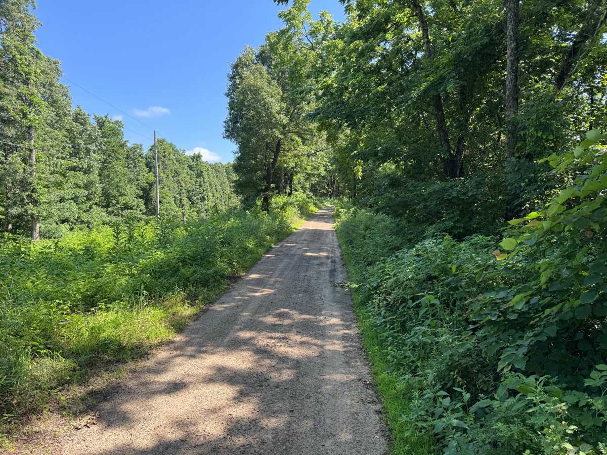 County Road 9360 photo 5
