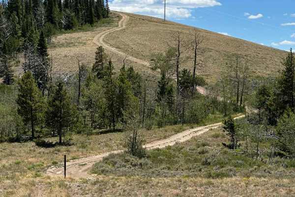 Summit View Road