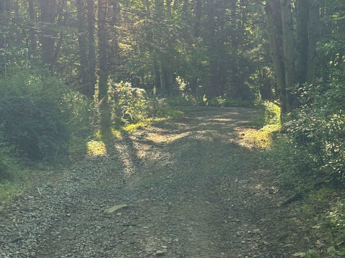 North Access Trail photo 3