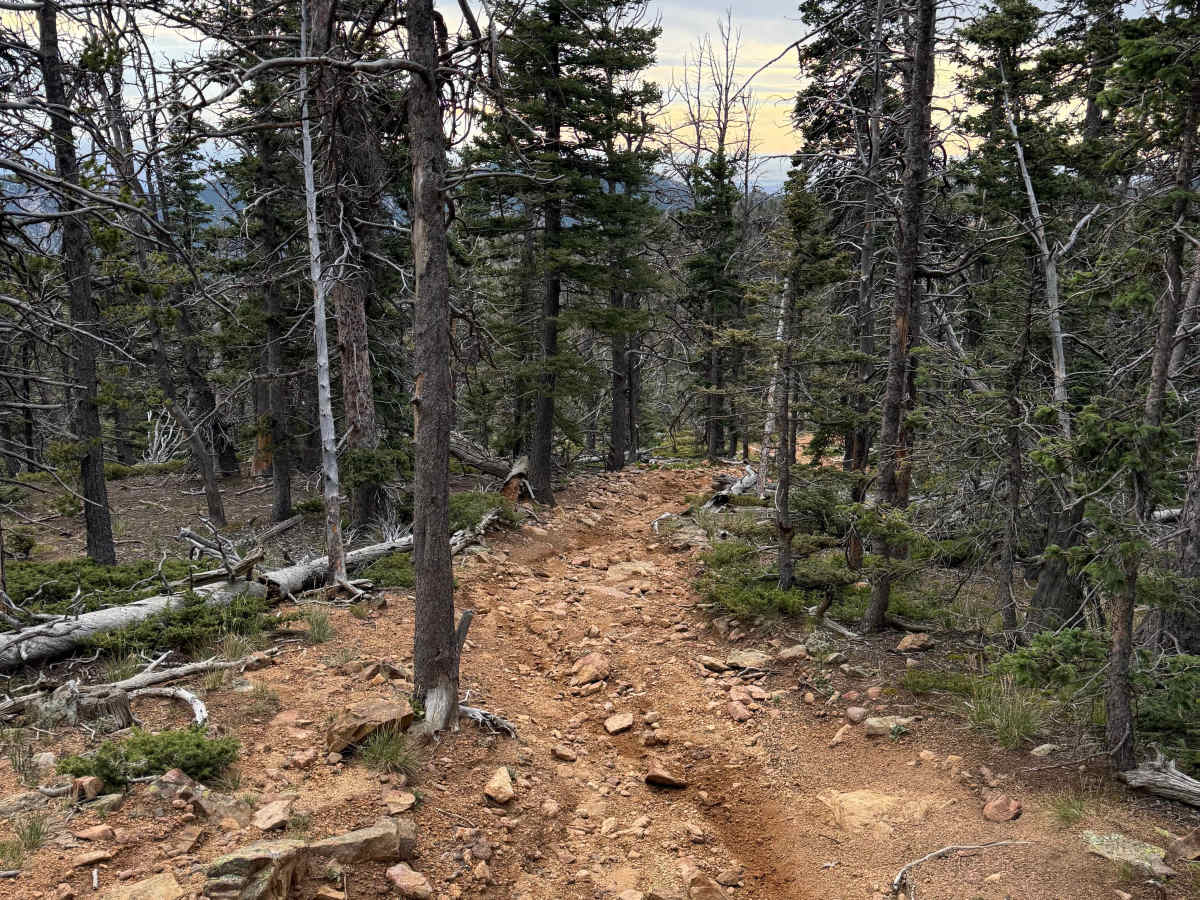 Nelsons Trail trail photo