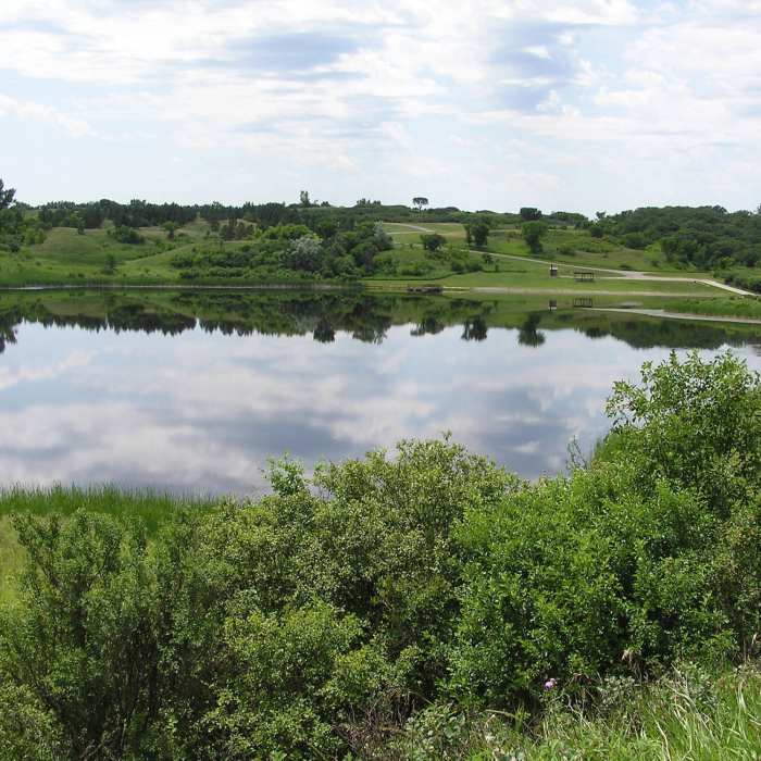 Near Clausen Springs Loop