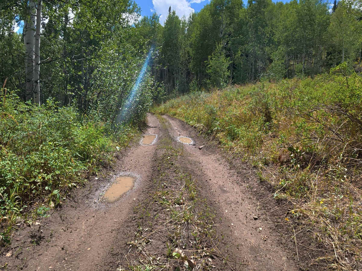 Middle Rifle Road - FS 837 photo 6