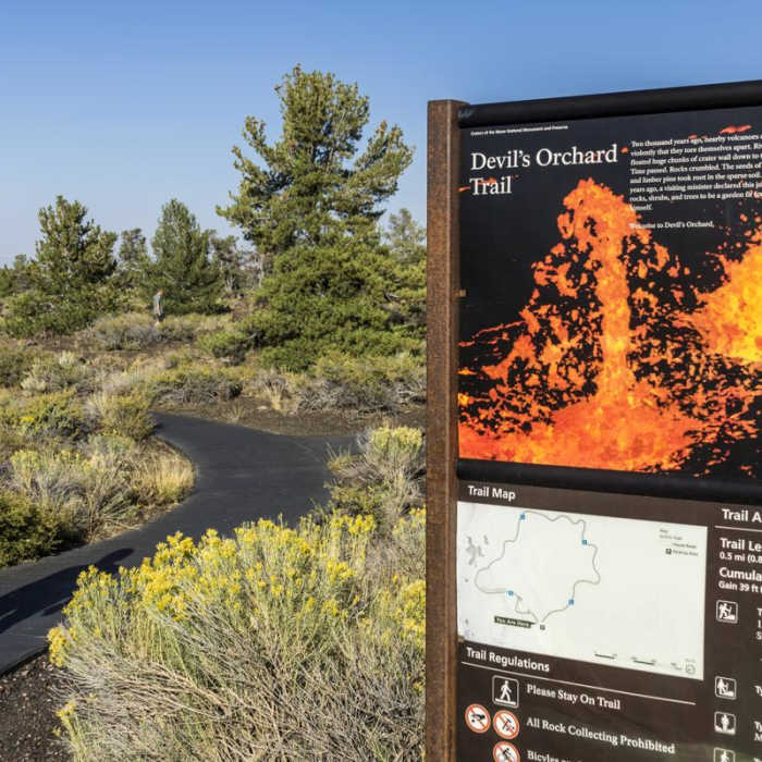 Near Devils Orchard Trail