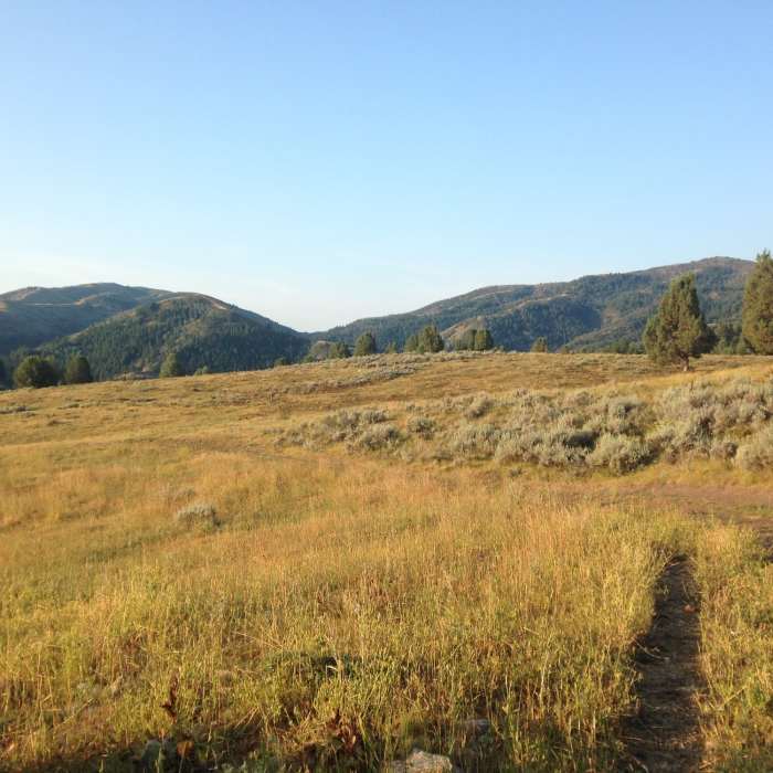 Near Little Cottonwood Trail