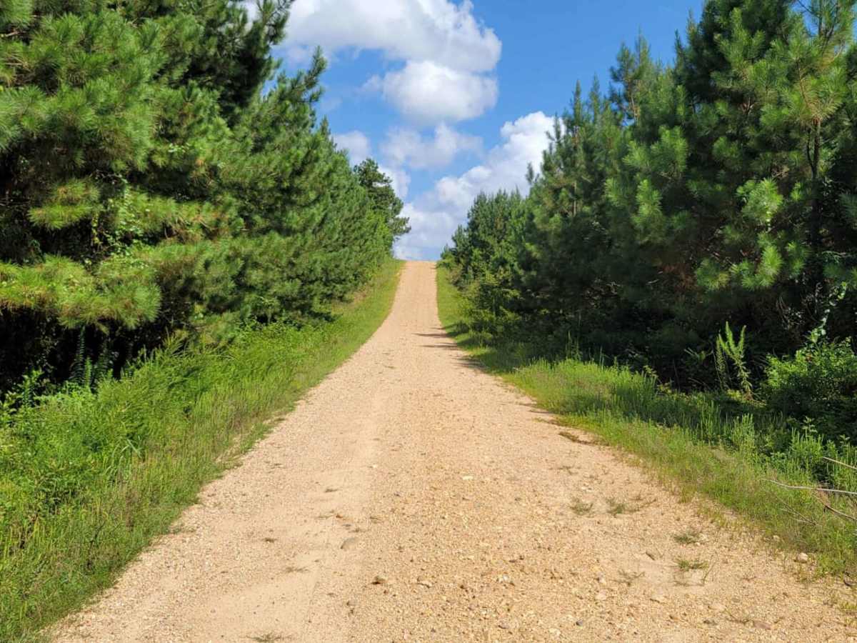 Road 263 to HWY342 photo 3