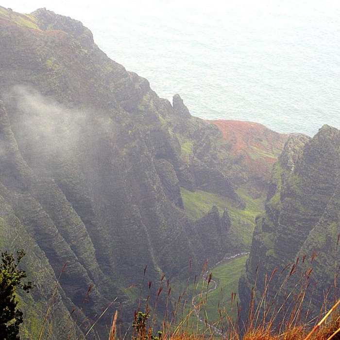 Near Awa'awapuhi Trail & Vista