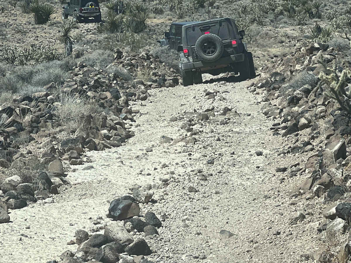 Rogers Wildlife Guzzler photo 2