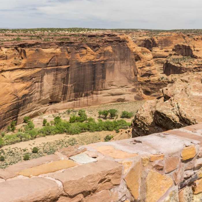 Near White House Ruins Trail