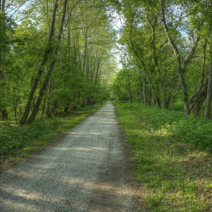 Near Torrey C. Brown Rail Trail